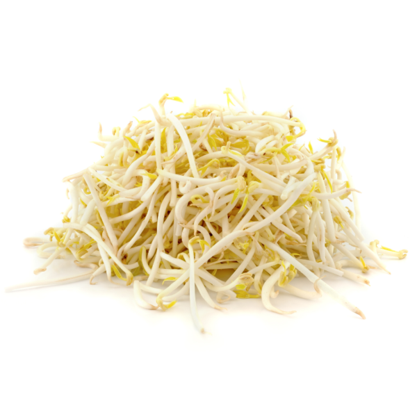 Bean Sprouts