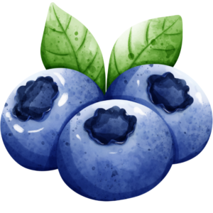 Blueberries