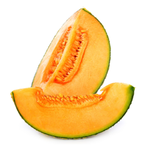 Cantaloupe Melon