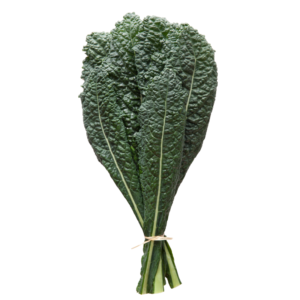 Cavolo Nero