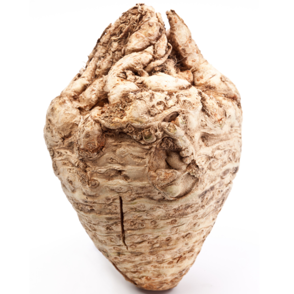 Celeriac