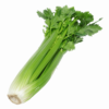 Celery