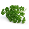 Curly Parsley