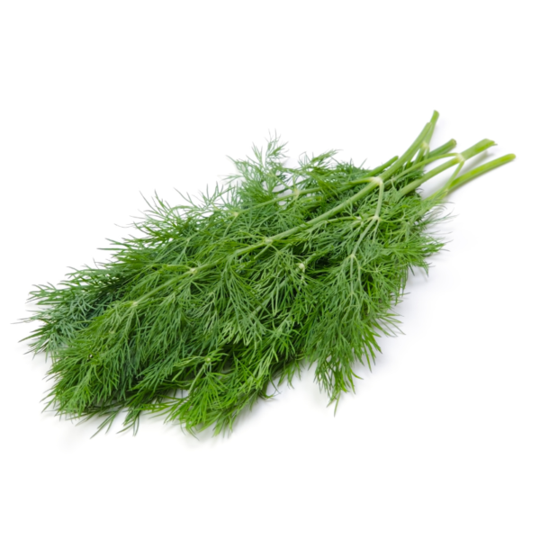 Dill