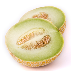 Galia Melon