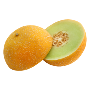 Honeydew Melon