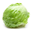 Iceberg Lettuce