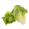 Little Gem Lettuce