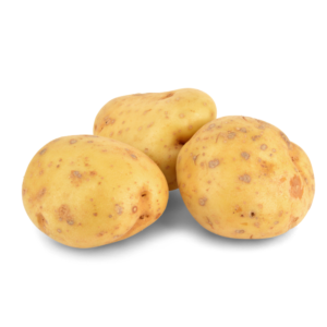 Maris Bard Potatoes