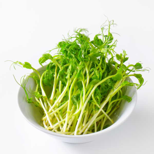 Pea Shoots