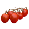 Plum Vine Tomatoes