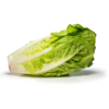 Romaine Lettuce