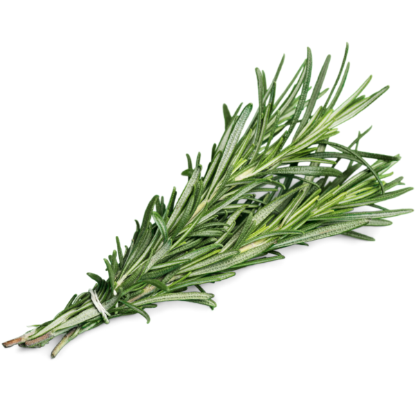 Rosemary