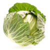 Spring Cabbage