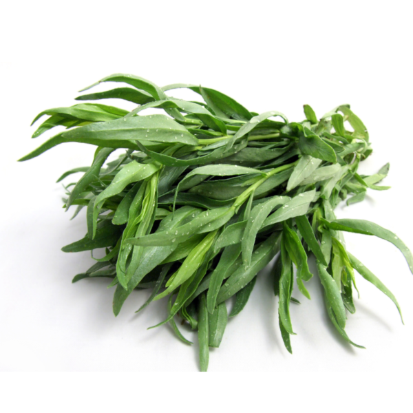 Tarragon