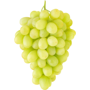 Thompson Green Seedless Grapes