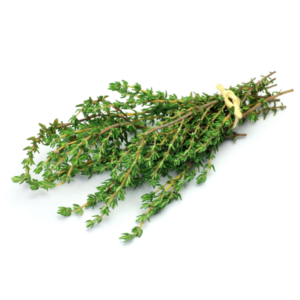 Thyme